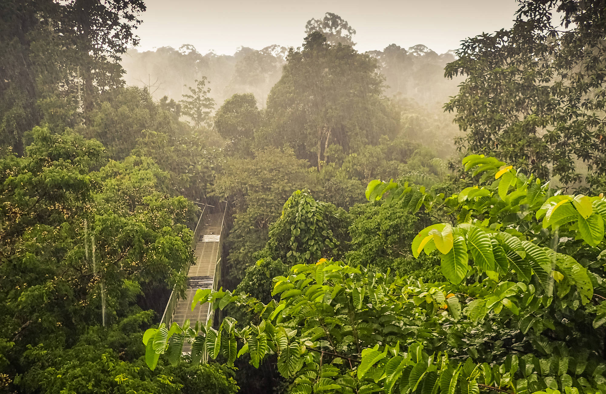 Travel to Borneo | Backpacking on Borneo with KILROY