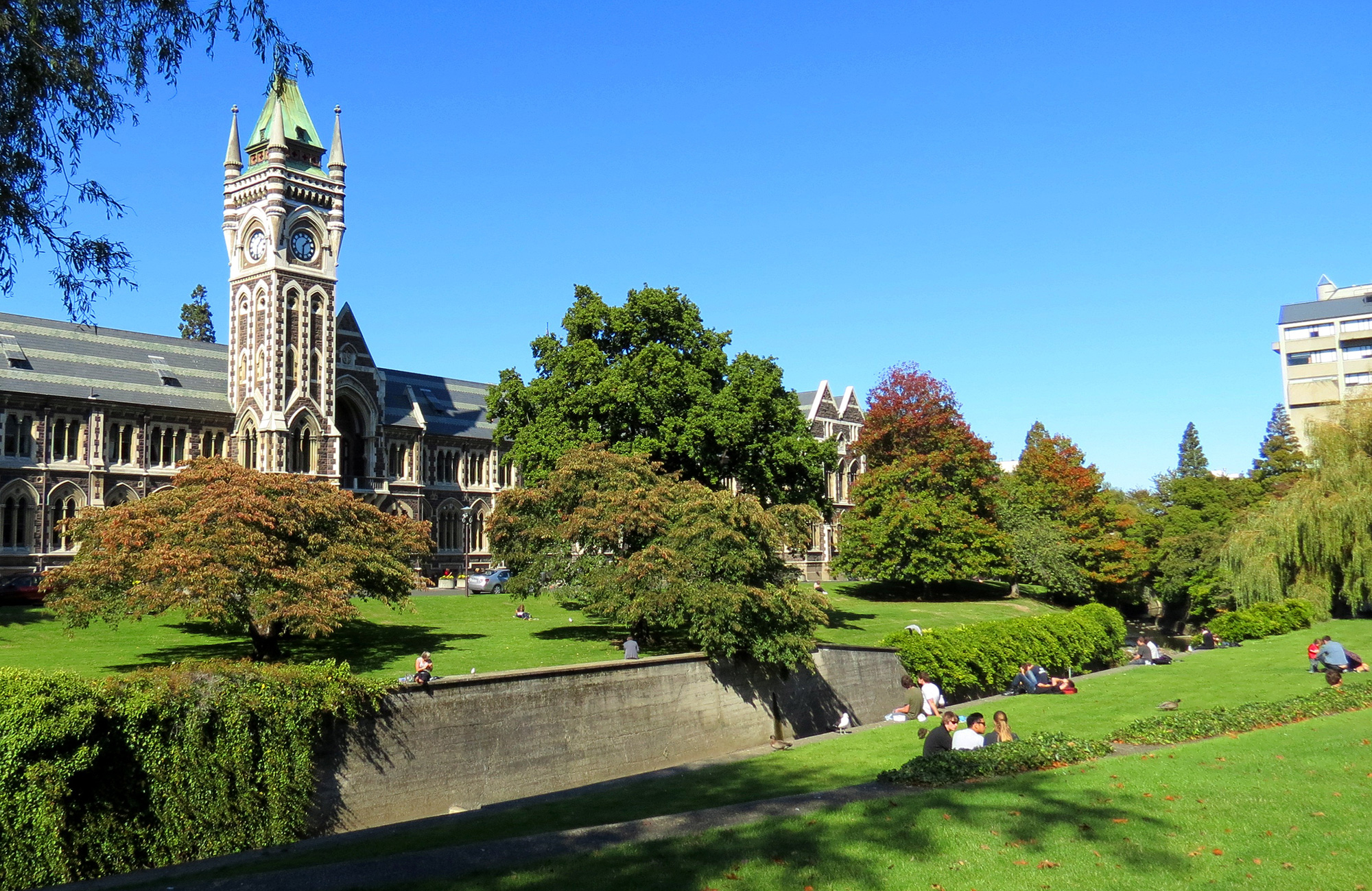 Study at University of Otago in New Zealand | KILROY