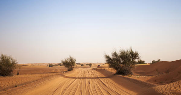 middle east desert