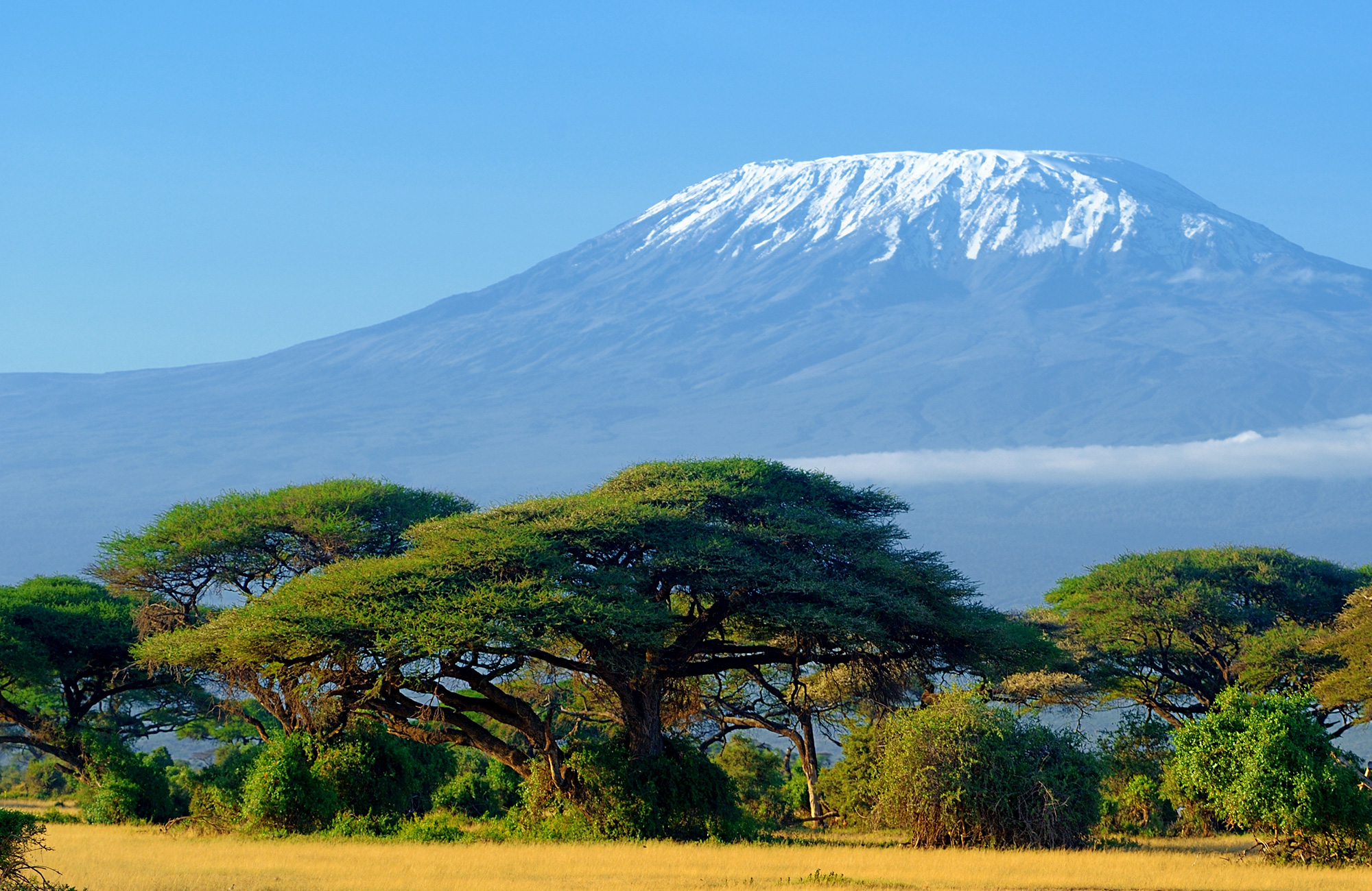 Climb Kilimanjaro Trekking In Tanzania KILROY   Tanzania Mount Kilimanjaro 