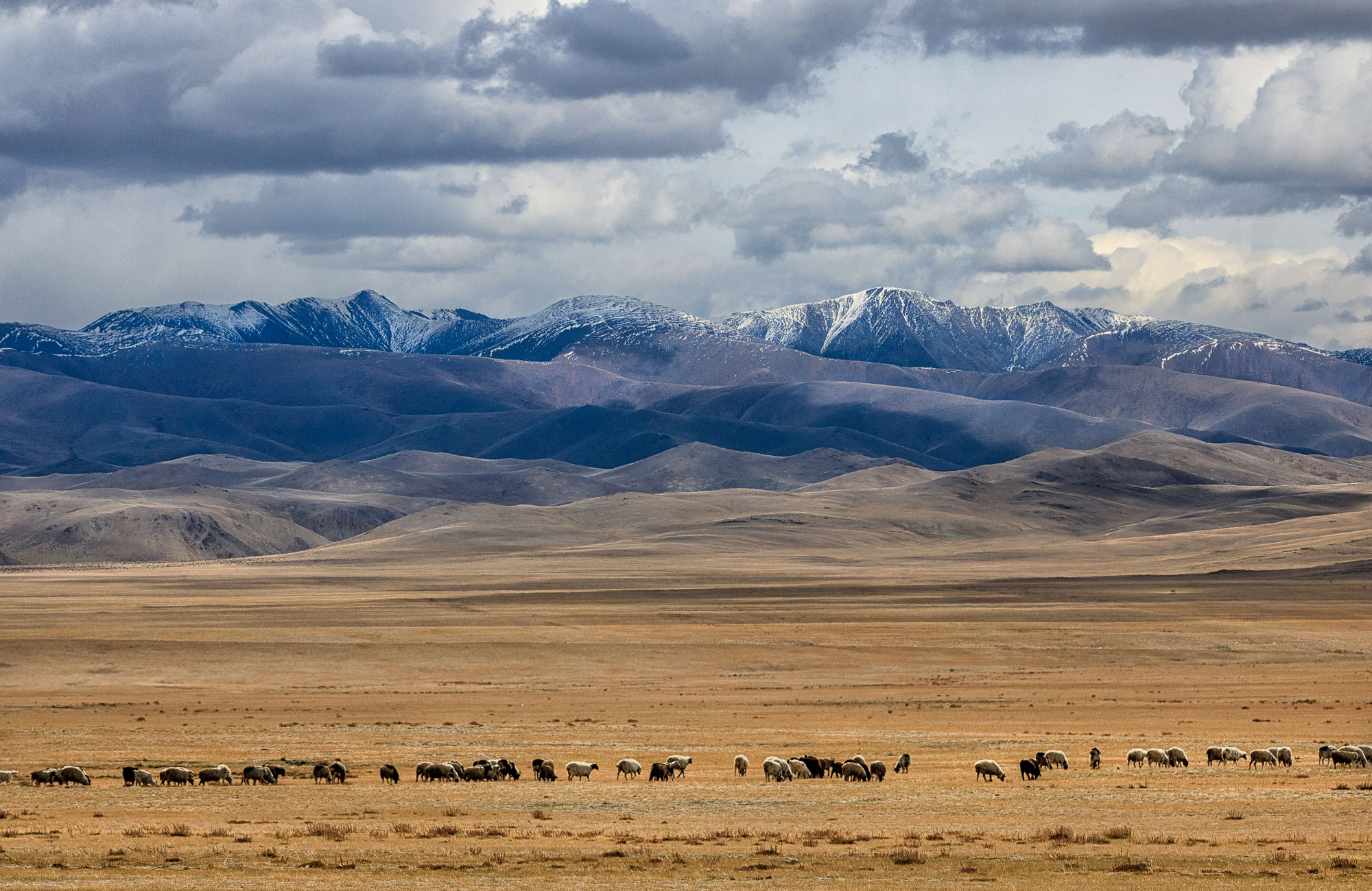 Северо Западная Монголия